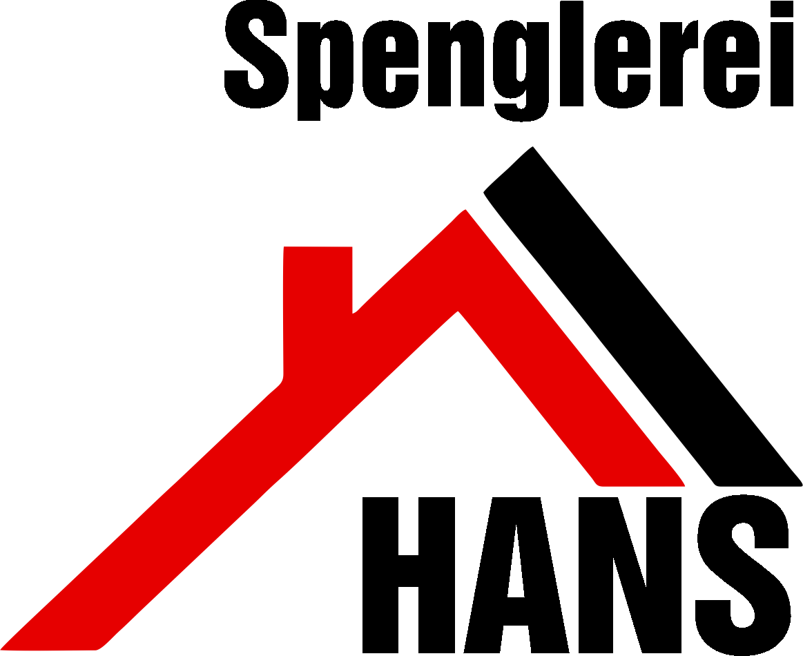 logo_hans2