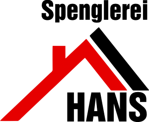 logo_hans2